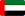 UAE flag